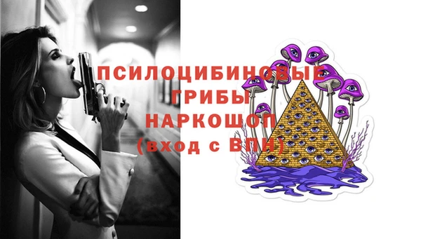 ешки Алзамай