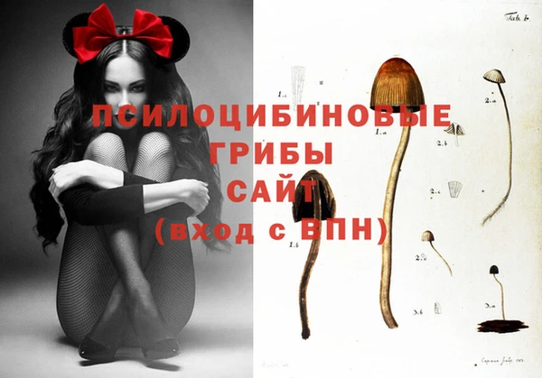 кристаллы Алексеевка